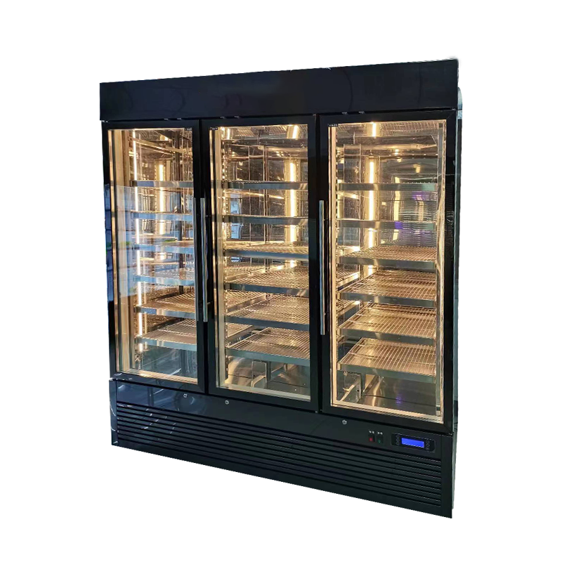 Astar Стейк-стейк из говядины сухой холодильник BS-2090L3F